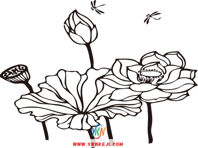 现代风格：花草树木- (78)